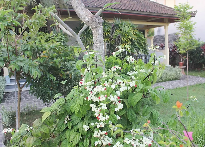 Taman Lily's