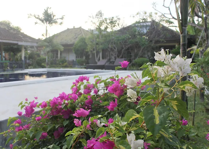 Taman Lily's ロヴィーナ